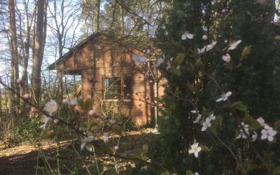 Die Umbauarbeiten sind angelaufen