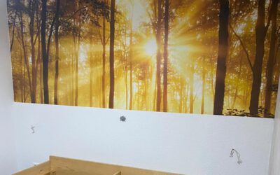 Das Update zum August