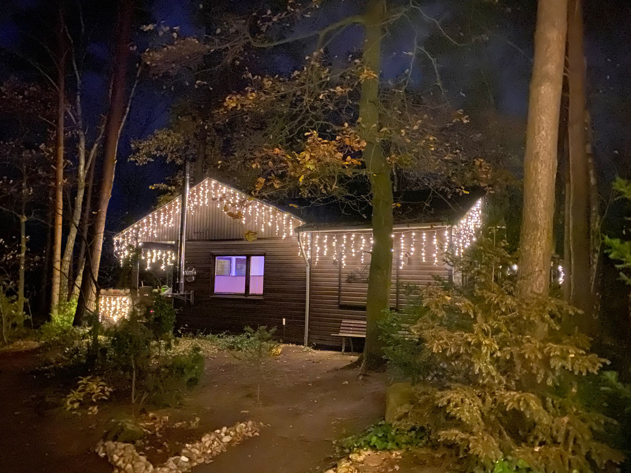 Weihnachts-Look