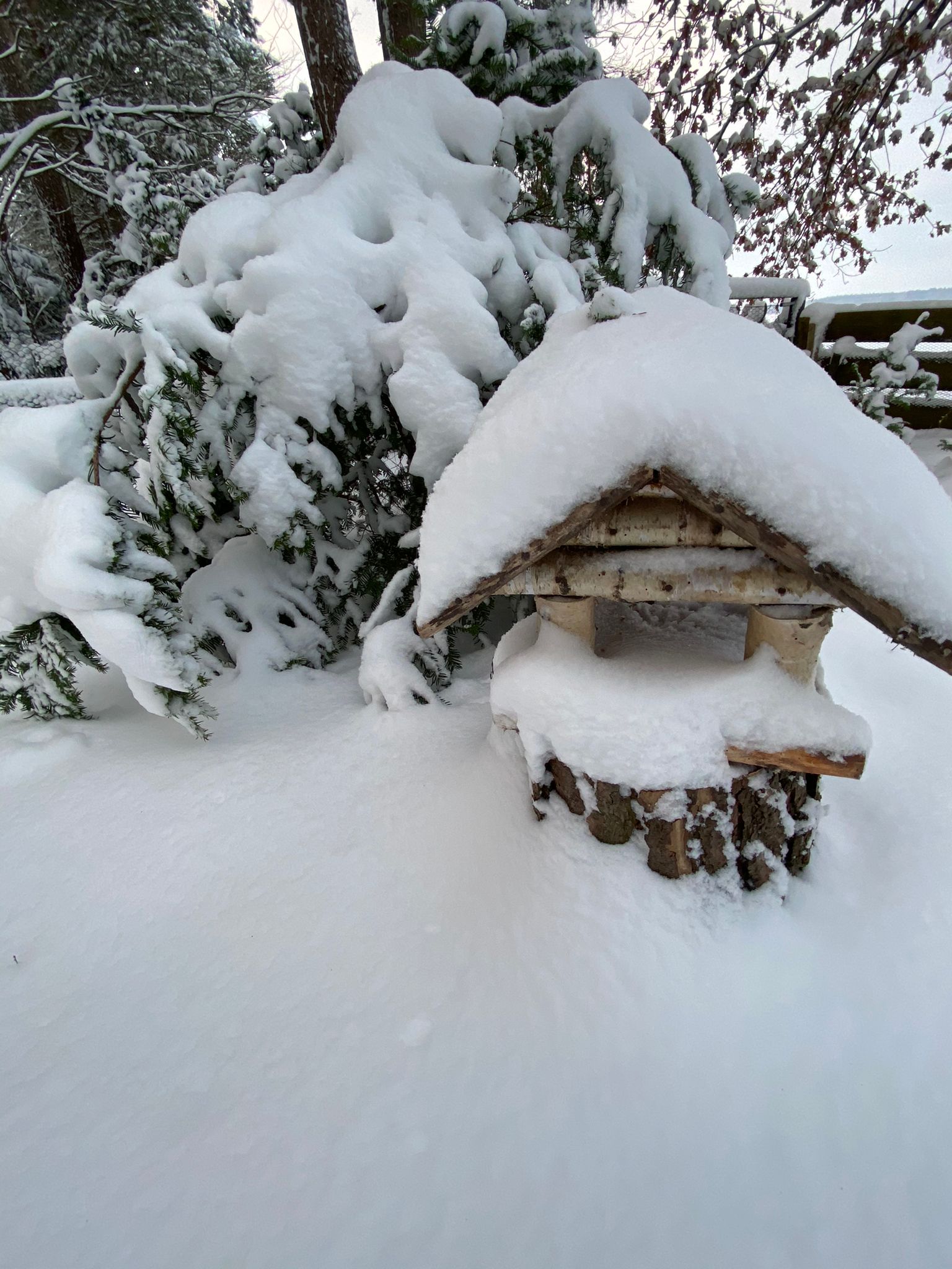 Aus Ferienhaus- wird Weihnachtshaus-Natürlich