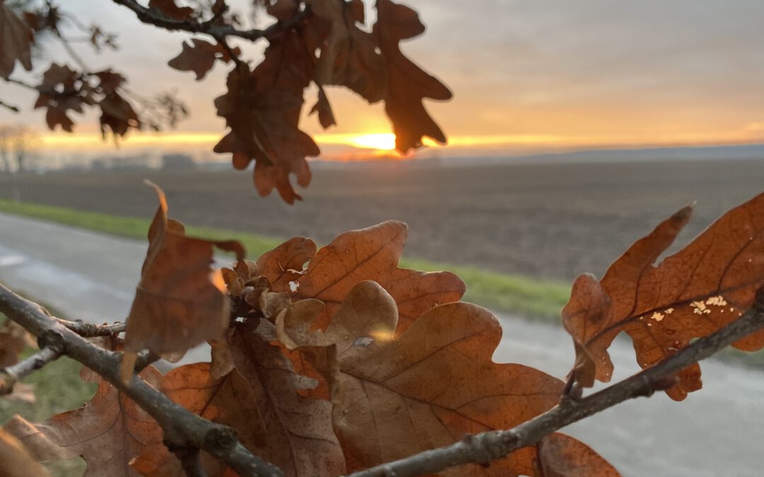 Sauna-Option verfügbar!